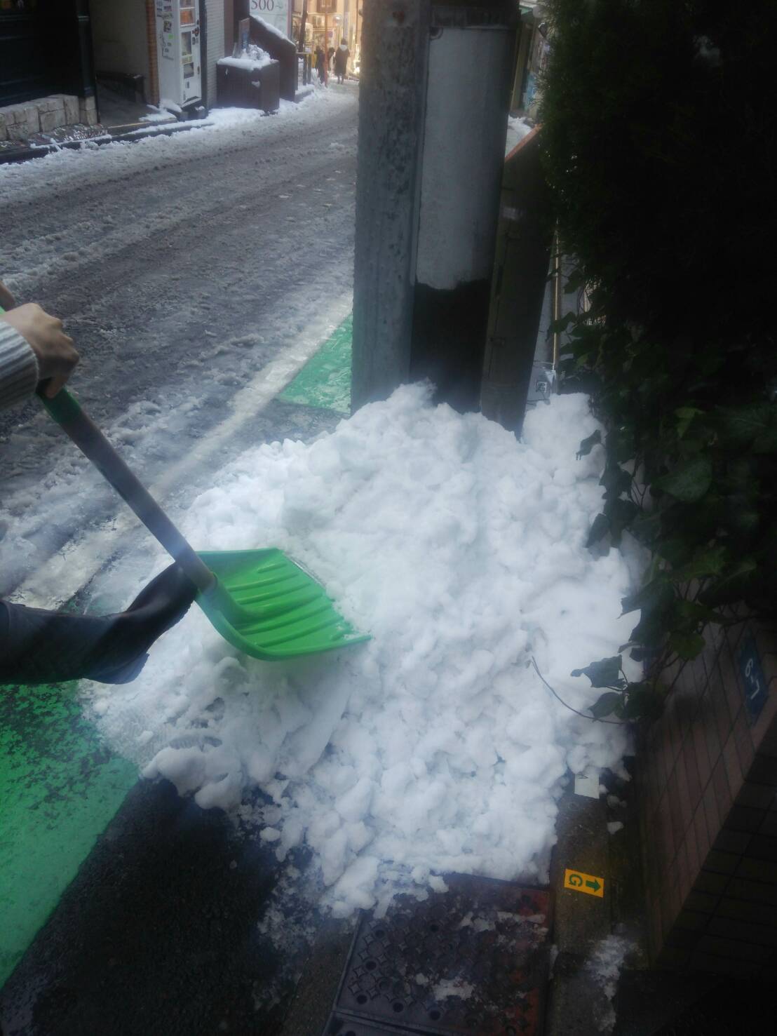 東京で久しぶりの大雪！